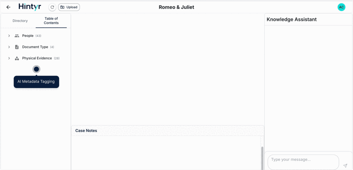 Hintyr demo showing metadata and chat features